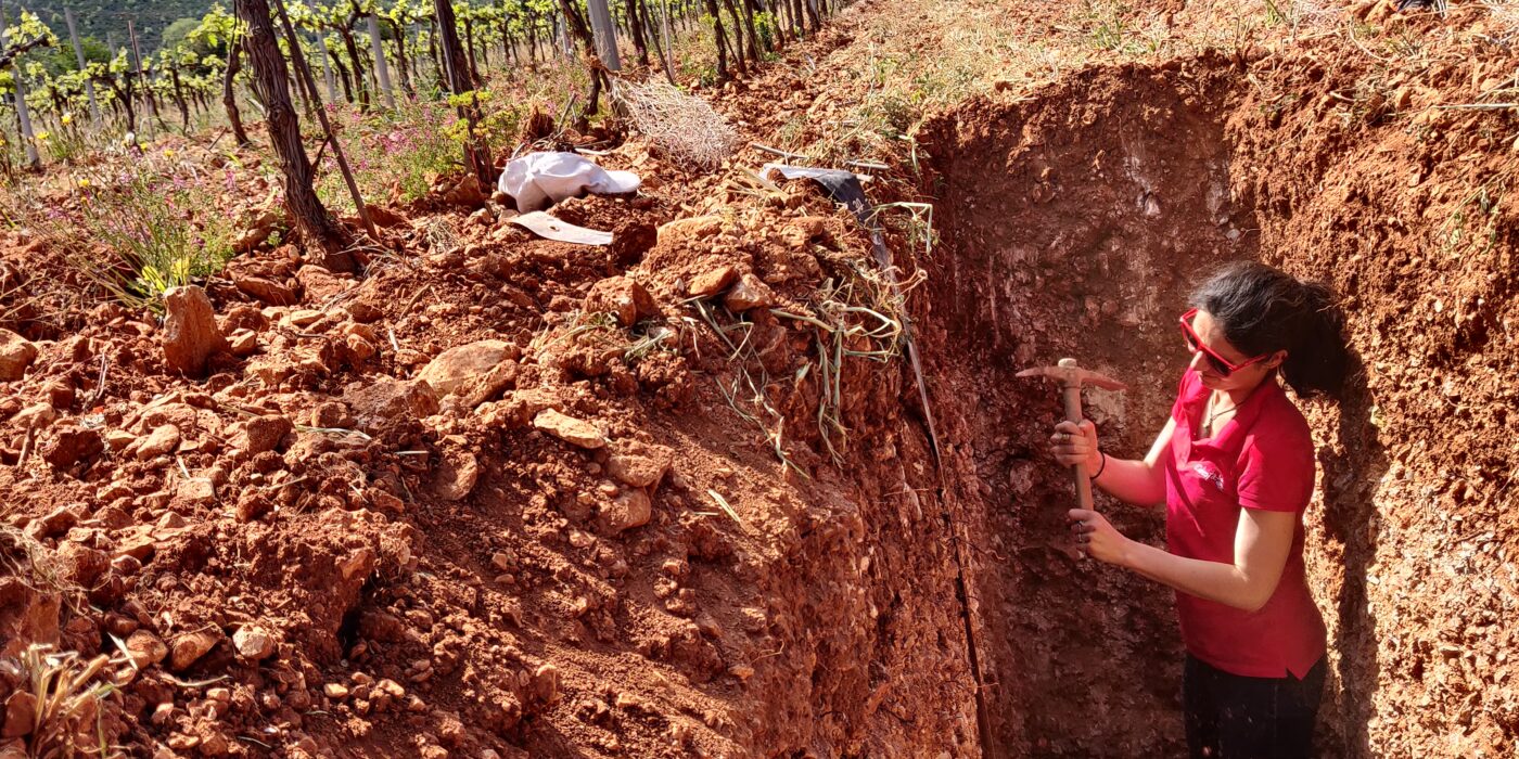 Formation mixte fertilité des sols