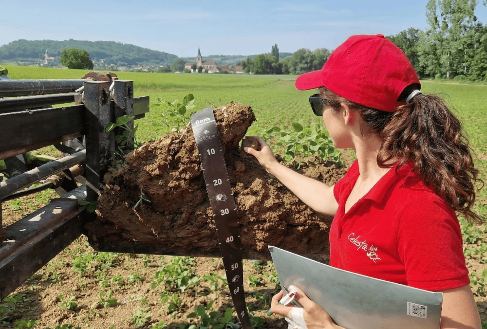 Newsletter - Celesta